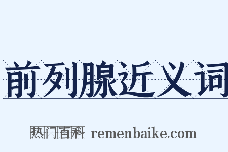 前列腺近义词是什么意思的图片